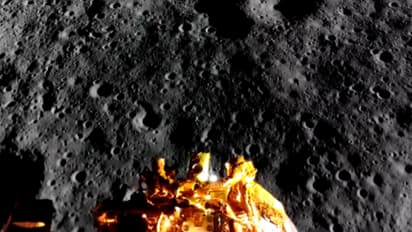 ഒരില കൊഴിയുന്ന ലാഘവത്തോടെയുള്ള സോഫ്റ്റ് ലാന്‍ഡിംഗ്; ബ്ലൂ ഗോസ്റ്റ് ചന്ദ്രനില്‍ ഇറങ്ങുന്ന വീഡിയോ പുറത്ത്