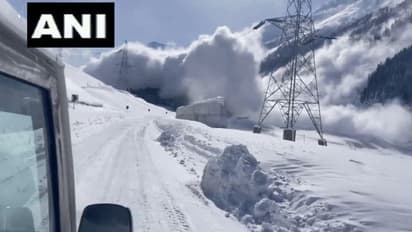 Massive avalanche hits Sonmarg's Sarbal area in J-K, no casualties reported
