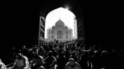 ഒറ്റ ക്ലിക്ക്, പതിഞ്ഞത് താജ്മഹലിന്റെ അപൂർവ ചിത്രം; മലയാളിക്ക് സ്വന്തമായത് ഒരു ലക്ഷം ദിർഹത്തിന്റെ പുരസ്കാരം