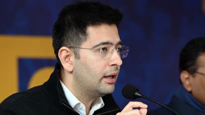 MP Raghav Chadha invited to Harvard Kennedy School’s prestigious Global Leadership Program