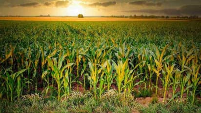 விவசாயிகள் வயிற்றில் பாலை வார்த்த தமிழக அரசு! இனி 'இந்த' கட்டணம் கிடையாது!