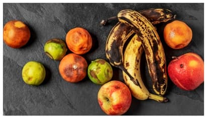 പഴവർഗ്ഗങ്ങൾ കെടാവില്ല, എത്ര ദിവസം വേണമെങ്കിലും ഇരിക്കും; ഇത്രയേ ചെയ്യാനുള്ളൂ