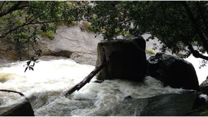 കാടിന്റെ ഉള്ളറകളിൽ മറഞ്ഞിരിക്കുന്ന ചെകുത്താൻകുത്ത്! ചങ്കിടിപ്പേറ്റും നാക്കയം ട്രെക്കിംഗ്, വിശദ വിവരങ്ങൾ ഇതാ