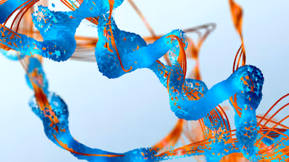 അമിനോ ആസിഡുകൾ ലഭിക്കാന്‍ ഡയറ്റില്‍ ഉള്‍പ്പെടുത്തേണ്ട ഭക്ഷണങ്ങള്‍