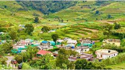 വട്ടവടയിലേയ്ക്കാണോ? എങ്കിൽ ഈ 5 സ്ഥലങ്ങൾ ഒരിക്കലും മിസ്സാക്കല്ലേ...