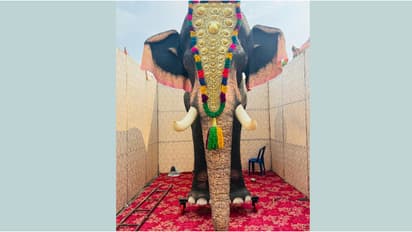 ഇത് ഒന്നൊന്നര ആന, ഇടയില്ല, പാപ്പാനും കൂച്ചുവിലങ്ങും വേണ്ട; നെയ്യാറ്റിൻകരയിൽ ഇനി ദേവീദാസന്റെ ആറാട്ട്