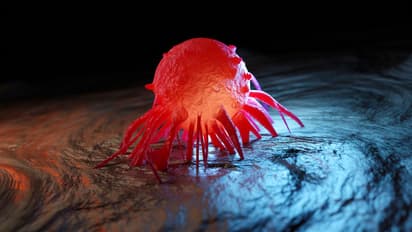 Cancer: ఇవి తింటే క్యాన్సర్ భయం ఉండదు..!