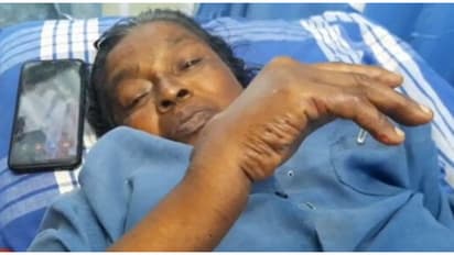 പതിവ് പോലെ തോട്ടത്തിൽ റബർപാലെടുക്കുന്നതിനിടെ പാഞ്ഞെത്തി കാട്ടുപന്നി, വീട്ടമ്മയെ ആക്രമിച്ചു; ഗുരുതര പരിക്ക്