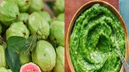 கொய்யா பழத்தை வைத்து சுவையான சட்னி...வித்தியாசமா இப்படி செய்து பாருங்க