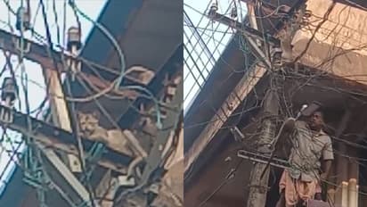 തെരുവുനായയെ പേടിച്ച് ഓടിക്കയറിയത് വൈദ്യുതി പോസ്റ്റിൽ; പൂച്ചയുടെ രക്ഷകനായി മീന് വില്പനക്കാരന്