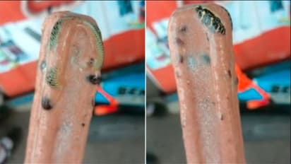 ಐಸ್‌ಕ್ರೀಂ ಕವರ್ ತೆಗೆದು ಬಾಯಿಗಿಡಲು ಹೊರಟವನಿಗೆ ಶಾಕ್: ಒಳಗಿದ್ದಿದ್ದೇನು ನೋಡಿ