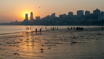 Maharashtra Weather Forecast, March 20: THESE cities to sizzle under rising temperatures; check forecast here