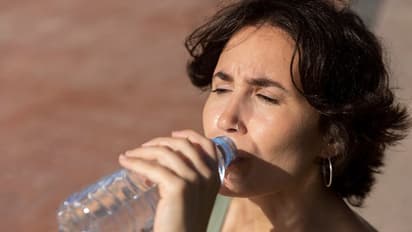 AP and Telangana Weather, March 29: Sizzling heat in Vijayawada and Hyderabad on Saturday; caution advised