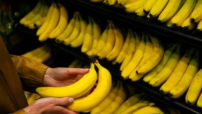 Power up your workout: 10 Essential foods to boost energy before exercising