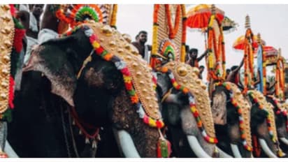 പെരിഞ്ഞനത്ത് ഉത്സവത്തിനെത്തിച്ച ആനയിടഞ്ഞു; പകൽപ്പൂരം നടത്തിയത് ആനയില്ലാതെ