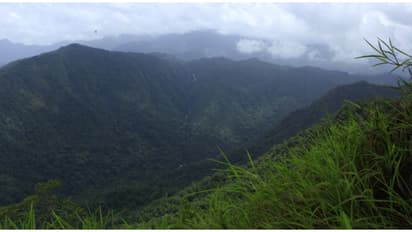 വയനാട് ട്രിപ്പിൽ ഒരിക്കലും മിസ്സാക്കാൻ പാടില്ലാത്ത ഒരു കിടിലൻ സ്പോട്ട്; മനംമയക്കും കാഴ്ചകൾ ഒളിപ്പിച്ച് നീലിമല