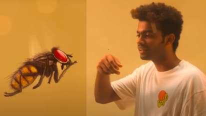 മാത്യു തോമസിന്റെ നായികയായി ഈച്ച; 'ലൗലി' ടീസര് എത്തി