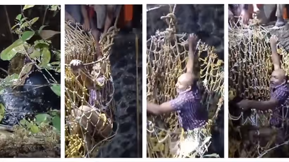 റോഡരികിൽ നിന്ന ജോൺസണെ ജിതിൻ കിണറ്റിൽ തള്ളിയിട്ടത് യാതൊരു പ്രകോപനവുമില്ലാതെ, ലഹരി കേസ് പ്രതിയെന്ന്  പൊലീസ് 