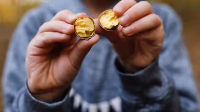 ദുബായില്‍ നിന്നും സ്വര്‍ണം തീരുവ ഇല്ലാതെ കൊണ്ടുവരാമോ? പരിധി എത്ര? അളവ് കൂടിയാല്‍ അടയ്ക്കേണ്ട നികുതി എത്ര?