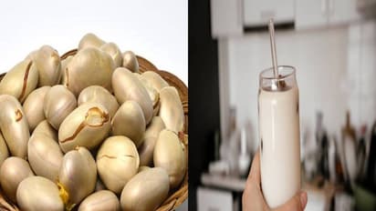 பலாக்கொட்டை மில்க் ஷேக்... சிம்பிளான, சூப்பர் ரெசிபி 