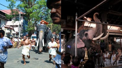 വില്ലനായ 46കാരൻ പരിവേഷത്തിൽ നിന്ന് 'ബാലു' ഓടിക്കയറിയത് നായക പരിവേഷത്തിലേക്ക്