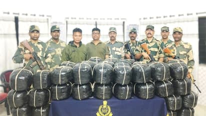 BSF apprehends 29 Bangladeshi nationals along border in Tripura