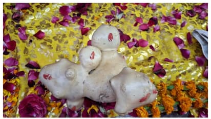 ഉരുളക്കിഴങ്ങിന് വിഷ്ണുവിന്റെ അവതാരങ്ങളുടെ രൂപം, ക്ഷേത്രത്തിൽ സ്ഥാപിച്ചു, ദർശനത്തിന് ഭക്തരുടെ ഒഴുക്ക് 