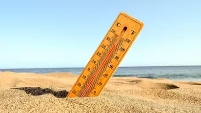 AP and Telangana Weather, March 19: Hyderabad and Warangal sizzle, Vijayawada the hottest; check updates here