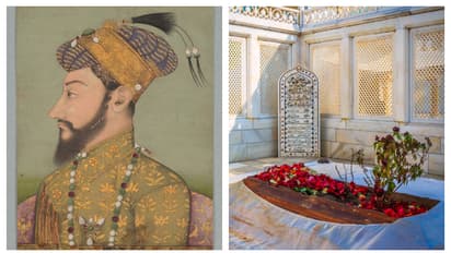ಛಾವಣಿ ಇಲ್ಲದ ಔರಂಗಜೇಬ್‌ ಸಮಾಧಿ ಮೇಲೆ ತುಳಸಿ ಗಿಡ ಇರೋದ್ಯಾಕೆ?  ಏನಿದು ರಹಸ್ಯ?