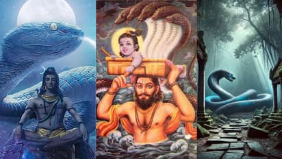 ಶ್ರೀಕೃಷ್ಣನ ವಾಸುಕಿ ನಿಜ, ಇತ್ತೀಚೆಗೆ ಪತ್ತೆಯಾದ ವಿಶ್ವದ ಅತಿದೊಡ್ಡ ಹಾವಿನ ವಿಶೇಷತೆ ಏನು?