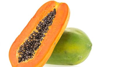 Benefits of Papaya: Gut health to skin, hair; 8 proven reasons to include in daily diet
