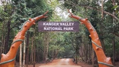 Chhattisgarh Kanger Valley: India's new UNESCO heritage claimant with unique biodiversity