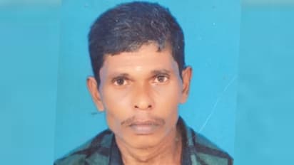 നിയന്ത്രണം വിട്ട പിക്ക് അപ്പ് വാനിടിച്ച് അപകടം: പാലക്കാട് കാൽനട യാത്രക്കാരൻ മരിച്ചു