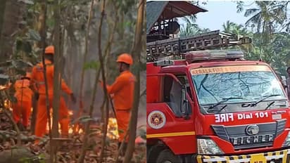 മൂക്കുന്നിമലയിൽ തീപിടിത്തം, ഏക്കറുകണക്കിന് കാട് കത്തിയമർന്നു; സാമൂഹ്യവിരുദ്ധർ കത്തിച്ചതാവാമെന്ന് ഫയർഫോഴ്സ്