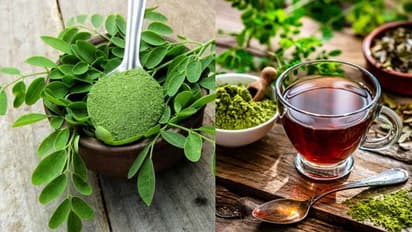 Moringa benefits: 6 ways to boost calcium naturally without tablets