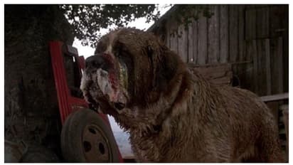 Stephen King's 'Cujo' set to return to big screen; read details