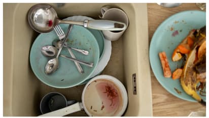 പാത്രത്തിലെ എണ്ണമയം പോകും; ഇത്രയും ചെയ്താൽ മതി