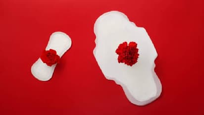 Holi 2025: মাসিকের সময় কি হোলি খেলা যাবে? এই টিপস মানলেই আর সমস্যায় পড়তে হবে না