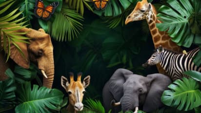 ನಮ್ಮ ನಡುವಿನ ಈ ಜೀವಿಗೆ ಇರೋದು 32 ಮೆದುಳು, 10 ಕಣ್ಣು, 300 ಹಲ್ಲು!