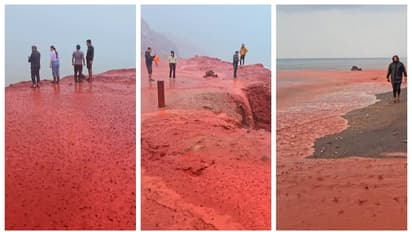 ഇറാന് തീരത്ത് 'രക്ത മഴ'? കടലിനെ പോലും ചുവപ്പിച്ച് ചുവന്ന നിറമുള്ള ജലം; വീഡിയോ വൈറൽ