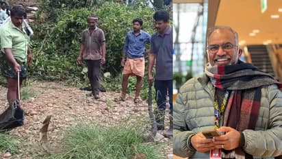 'ഭാഗ്യം കൊണ്ടാണ് രക്ഷപ്പെടുന്നത്, ഒരിക്കലും സേഫല്ല' മുരളി തുമ്മാരുകുടി പറയുന്നത് പാമ്പ് പിടിത്ത രീതിയെ കുറച്ച്