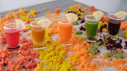 Holi 2025: হোলির পর শরীর ডিটক্স করুন এই উপায়ে! ঝটপট পান করুন এই পানীয়