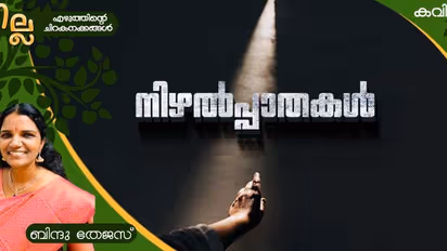 Malayalam Poem: നിഴല്പ്പാതകള്, ബിന്ദു തേജസ് എഴുതിയ കവിത