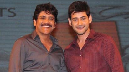 నాగార్జున, మహేష్‌ బాబు కలిసి నటించాల్సిన మల్టీస్టారర్‌ ఏంటో తెలుసా? దర్శకుడు హ్యాండివ్వడంతో మిస్‌ 