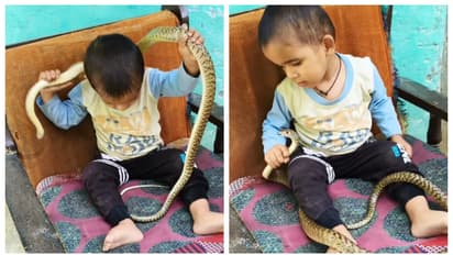 ഭയമോ, അതെന്ത്? തോളത്ത് കിടന്ന പാമ്പിനെ എടുത്ത് തട്ടിക്കളിക്കുന്ന കുട്ടി, വീഡിയോ വൈറൽ