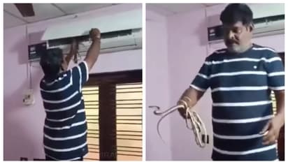 ഭയം അരിച്ചിറങ്ങും; വീട്ടിലെ എസിക്കുള്ളിൽ നിന്നും പാമ്പിനെയും കുഞ്ഞുങ്ങളെയും കണ്ടെത്തി, വീഡിയോ വൈറൽ 