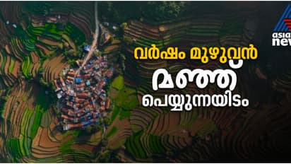 വിനായകൻ പറഞ്ഞത് പോലെ ഇത് സ്വിറ്റ്സർലൻഡോ സ്കോട്ലൻഡോ ആംസ്റ്റർഡാമോ ഒന്നുമല്ല; മല്ലൂസിന്റെ ഇഷ്ടയിടം