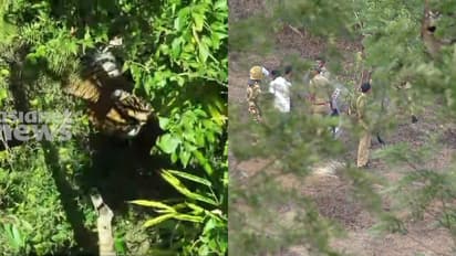 ഇടുക്കി ഗ്രാമ്പിയിലെ കടുവയെ മയക്കുവെടി വെയ്ക്കും, വണ്ടിപ്പെരിയാറിലെ 15ാം വാര്‍ഡിൽ നിരോധനാജ്ഞ