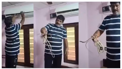 മാസങ്ങളായി ഉപയോഗിക്കാതിരുന്ന എസി ഓണാക്കി, ആദ്യം ഒരു പാമ്പ്, പിന്നാലെ കണ്ടെത്തിയത് പാമ്പിൻ കുടുംബത്തെ -വീഡിയോ