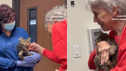 ഒടുവിൽ ആഗി തിരികെയെത്തി, കണ്ണ് നിറഞ്ഞ്, വിതുമ്പലടക്കാനാവാതെ കാതറിൻ, വൈകാരികമായ വീഡിയോ വൈറൽ